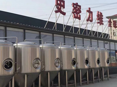 新华精酿啤酒设备厂—市场规模与跨界新需求