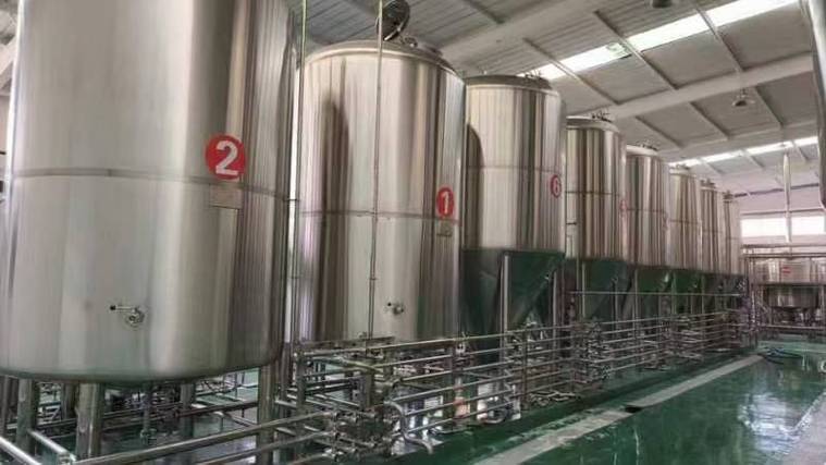 新华日产10吨精酿啤酒设备多少钱?2026年全套报价帮你算明白